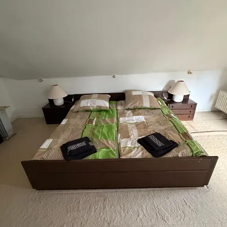 Grosses Freistehendes Haus Nahe Messe 4 Baeder Garten Eigenen Garten Σπίτι διακοπών